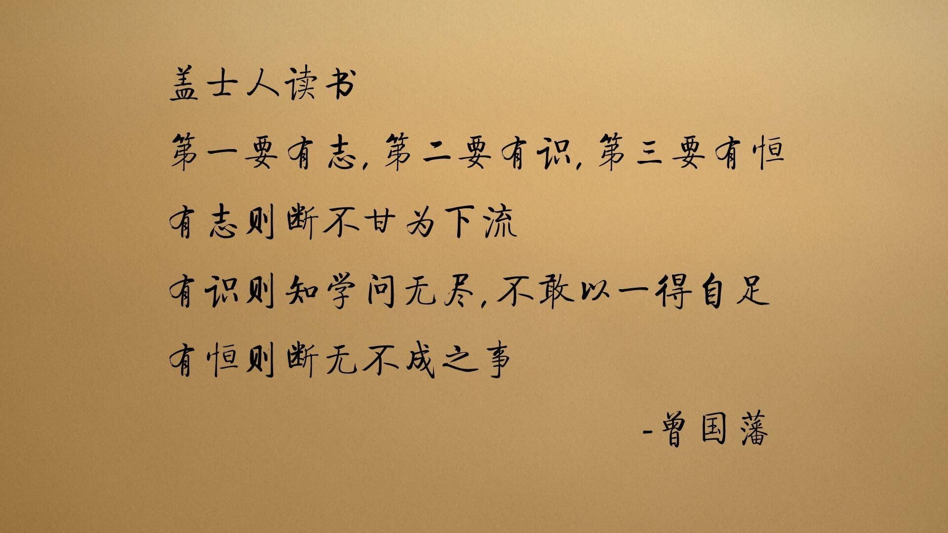 曼联对卡迪夫城展开对决，实力争夺，曼联队对曼城
