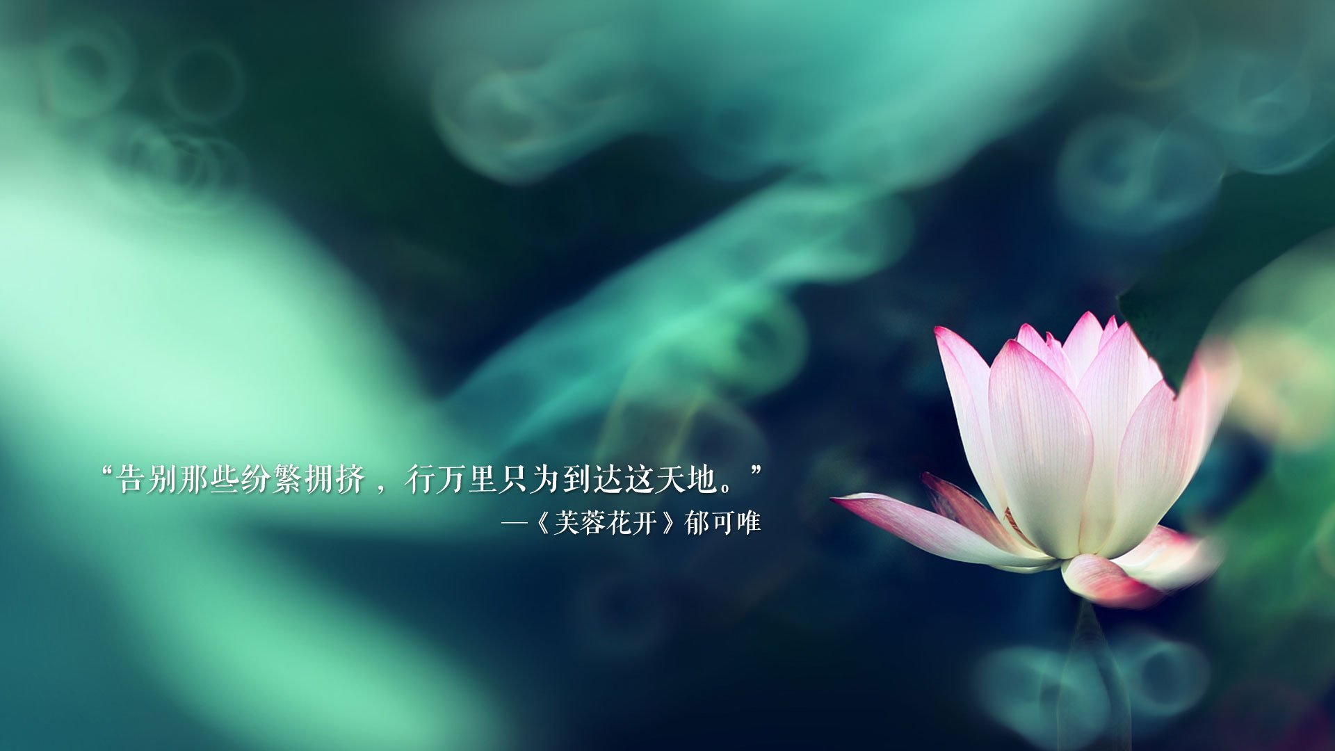 中国篮球青训体系教练员能力评估与发展规划，篮球教练员素养