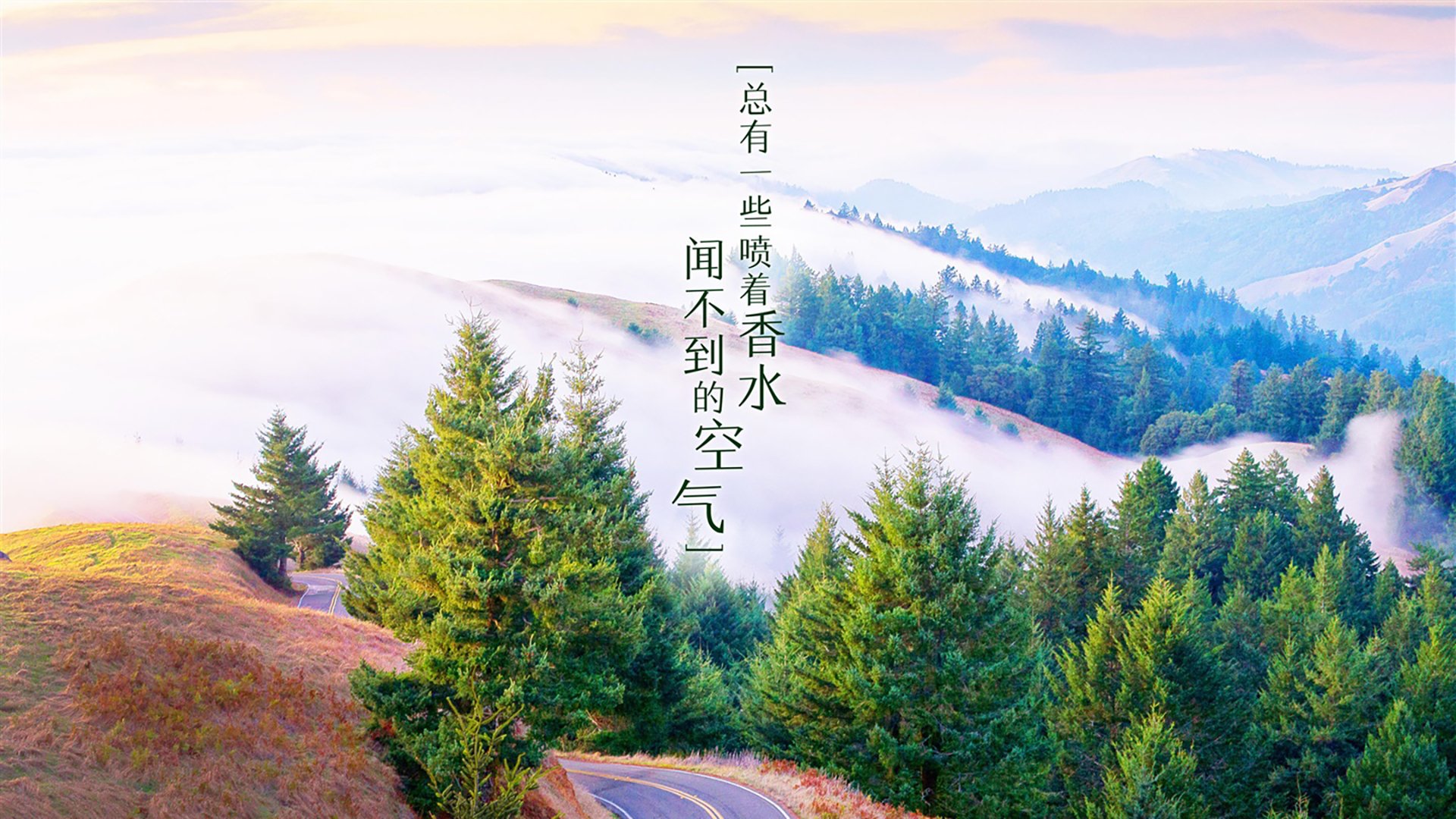 德甲青训中心心理训练对抗压能力提升的实证研究，德甲青训政策