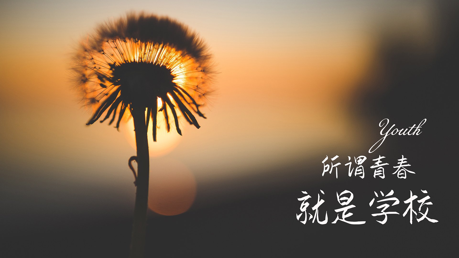 自由泳入水角度数据排行榜出炉,自由泳比赛入水动作