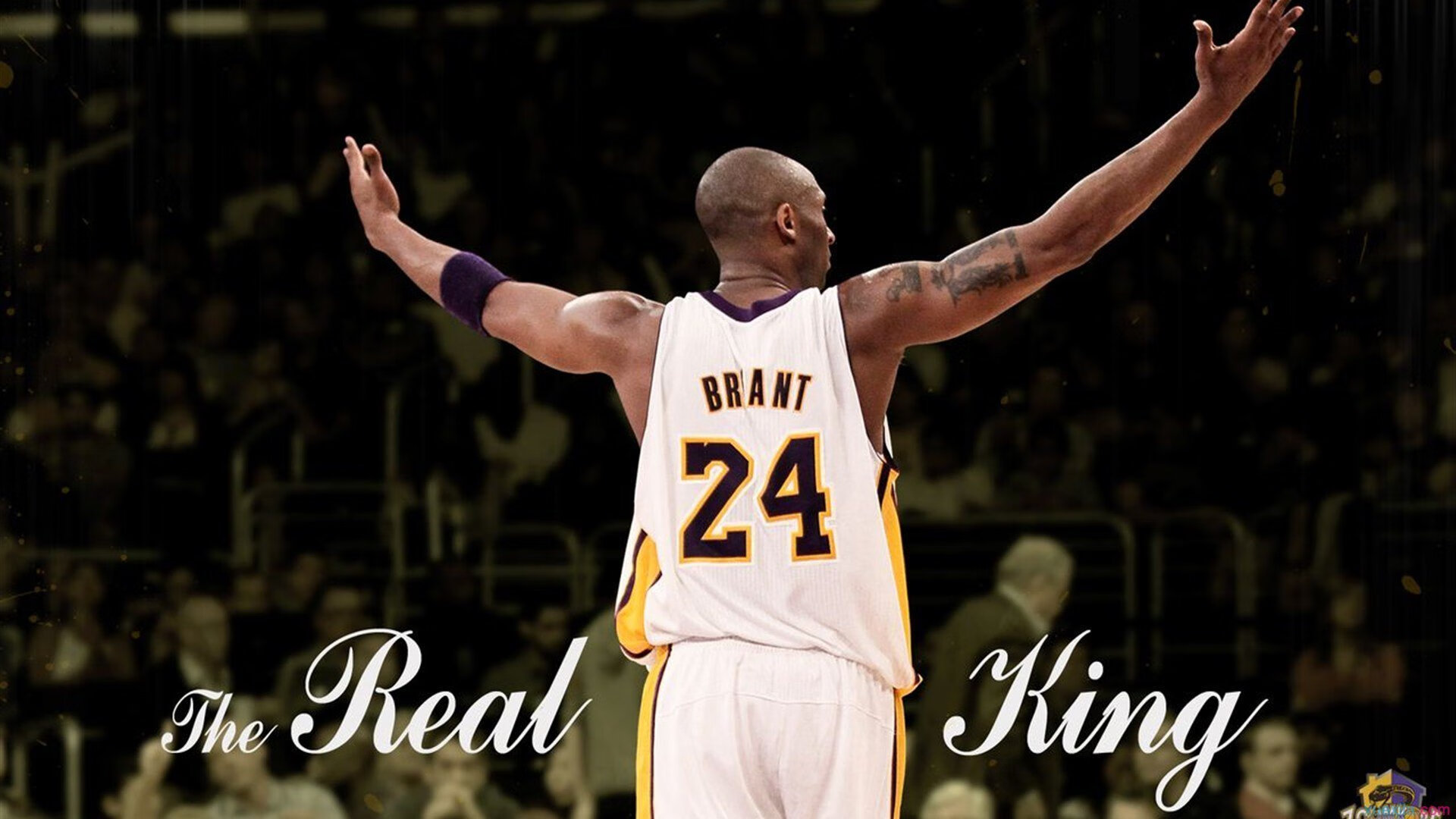 守望先锋 职业选手训练强度提升,守望先锋 职业选手训练强度提升多少